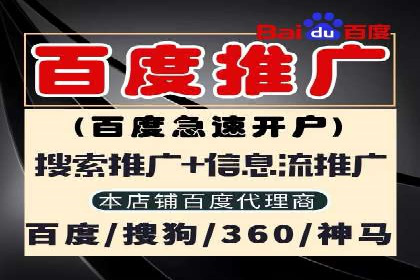 百度推广优化策略：成功案例解析